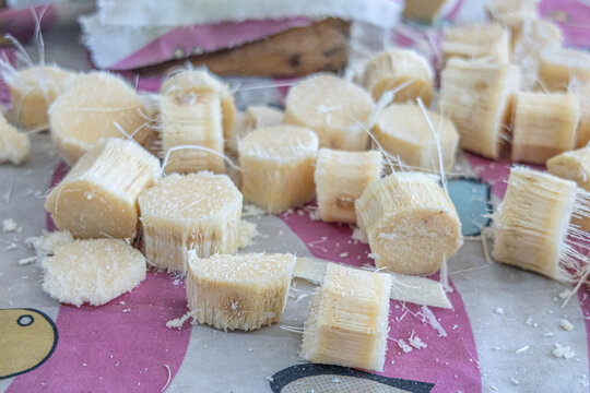 Sugarcane cut into small pieces, highlighting freshness, natural sweetness, and tropical culture.