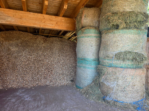 Stacked round hay bales sit beside a large pile of wood chips in a rustic farm barn, showing rural storage, animal feed preparation and seasonal harvest scenes in an agricultural setting.