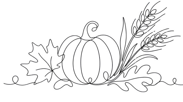Continuous line art pumpkin maple oak leaves wheat stalks thanksgiving autumn harvest vector illustration isolated PNG with Transparent Background