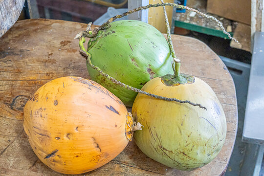 Variety of coconuts in different stages of ripeness on wood, from fresh green to nearly ripe yellow, highlighting natural evolution and tropical richness.