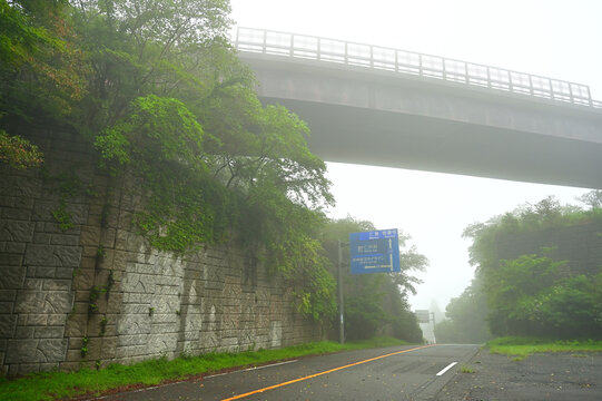 伊豆半島の伊豆山稜線歩道　静岡県道411号西天城高原線の陸橋下の船原峠

