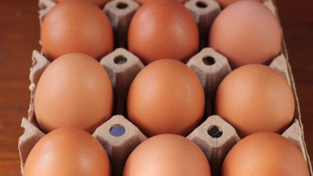 Close-up rotating shot of fresh brown chicken eggs arranged in a row against a dark textured background, food ingredient and farm produce concept.	