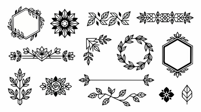 Modern geometric vector set featuring black angular leaf dividers, hexagon floral frames, circular wreaths, and sharp leaf accents isolated on a white background
