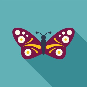 Butterfly icon featuring flat design style and long shadow on a blue background