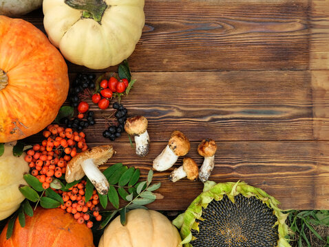 Autumn harvest. vegetable harvest - pumpkins, sunflower, mushrooms, berries on rustic wooden background. symbol of fall season, Thanksgiving day, Mabon. template for design. copy space. flat lay