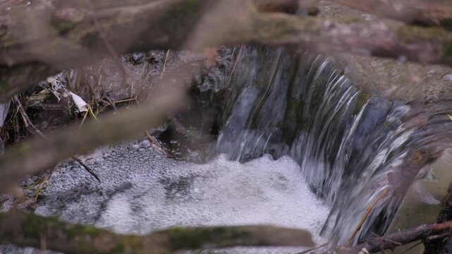 Water flowing over rocks in a small stream surrounded by branches in a natural setting in the afternoon light