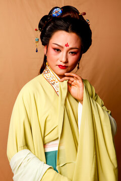 Traditional Chinese Tang Dynasty Hanfu Portrait 