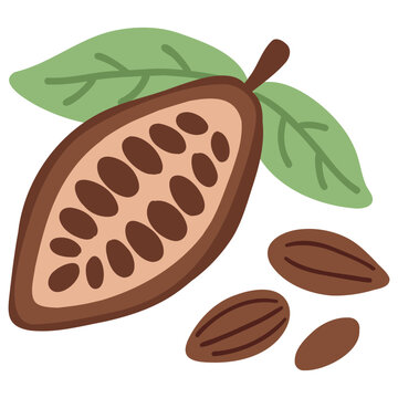 Cacao pod with cocoa beans and green leaves vector element