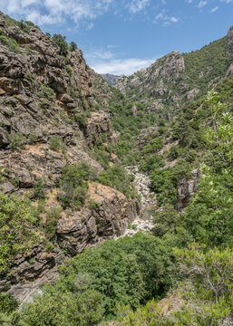 Corse France Gorges Spelunca Landscape Nature Wild westcoast