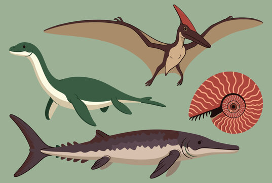 Flat vector illustration of prehistoric marine animals including a plesiosaur, mosasaur, flying pterosaur, and an ammonite.
