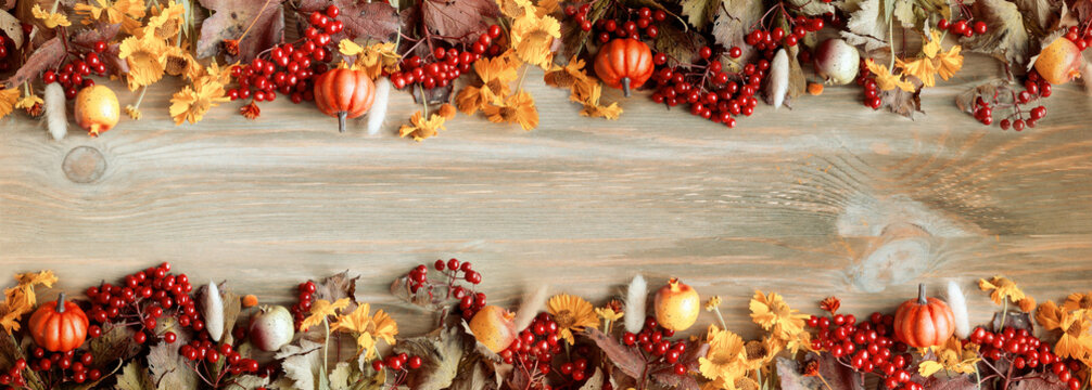Thanksgiving day background, festive banner. Seasonal autumn berries, pumpkins, apples and flowers on the rustic wooden background, free space for text, suitable for autumn holidays