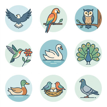set of birds