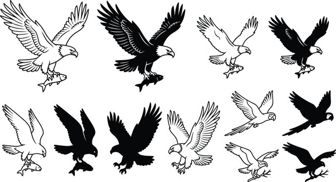 Flying eagle silhouette set hunting fish with wild hawk and parrot outlines vector illustration for mascot designs