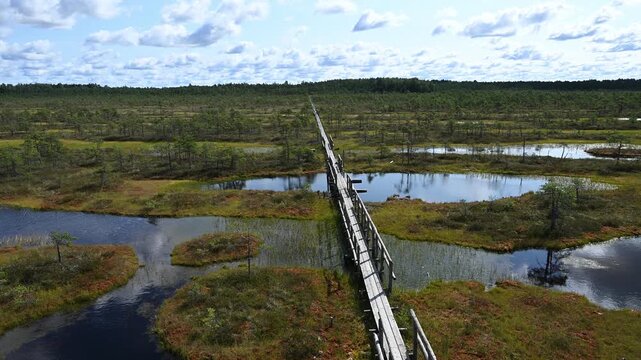 Estonia - M&auml;nnikj&auml;rv hiking trail offers wonderful views of Lake M&auml;nnikj&auml;rv and the bog surrounding it.