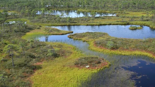 Estonia - M&auml;nnikj&auml;rv hiking trail offers wonderful views of Lake M&auml;nnikj&auml;rv and the bog surrounding it.