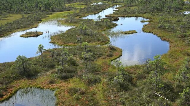 Estonia - M&auml;nnikj&auml;rv hiking trail offers wonderful views of Lake M&auml;nnikj&auml;rv and the bog surrounding it.