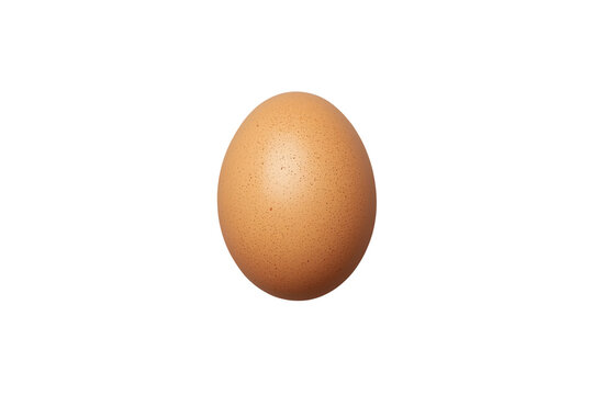 Single brown chicken egg with natural shell texture