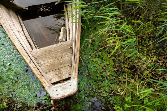 High angle view of an old abandoned wooden boat in a swampy pond with green weeds.