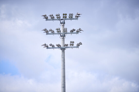 Stadium floodlights rise against a blue summer sky