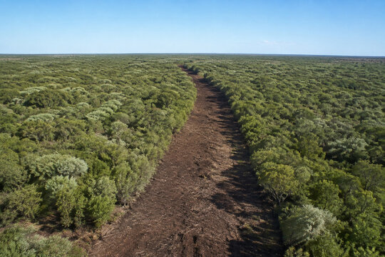 A wide firebreak of bare soil cutting through green forest.