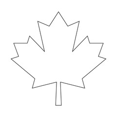 Fototapeta premium Maple leaf
