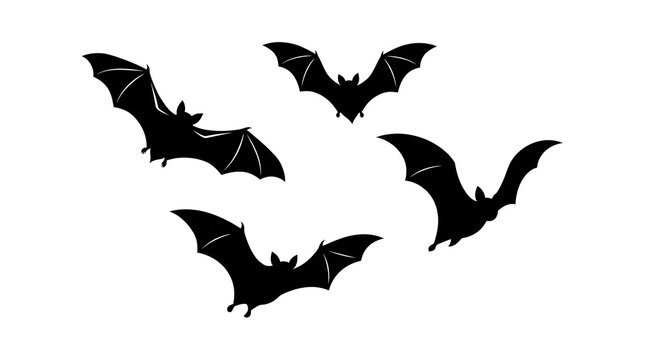 A spooky halloween scene featuring silhouetted bats flying against a clean white background evoking a sense of mystery