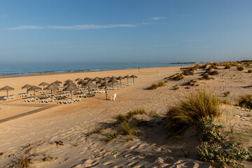 Barrosa beach, in Sancti Petri, Chiclana de la Frontera in the province of Cadiz, Spain, at low tide and with a large expanse of sand © josevgluis