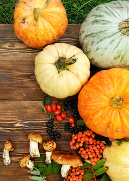 Autumn harvest. vegetable harvest - pumpkins, sunflower, mushrooms, berries on rustic wooden background in garden. symbol of fall season, Thanksgiving day, Mabon. template for design. top view