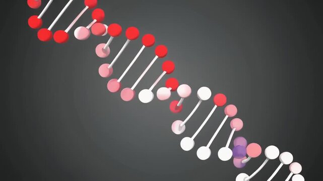 Detailed 3D DNA Double Helix Model with Red and White Spheres on Dark Gradient Background for Scientific Genetics Illustration