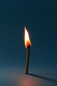 A single lit match burns brightly against a dark background, casting a shadow