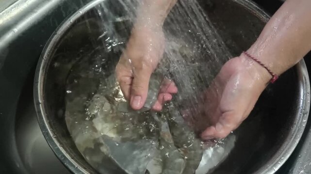 A woman is washing shrimp and other seafood with clean water in preparation for cooking Clean the squid thoroughly.