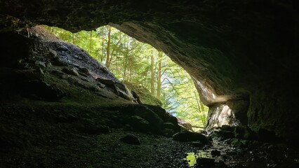 L'entrée de la grotte des Eaux-Chaudes vue depuis l'intérieur de la caverne (vallée d'Ossau,...