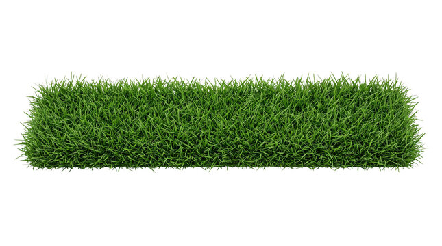Vibrant green grass patch isolated on white, lush rectangular sod turf section, fresh lawn grass border for landscape design