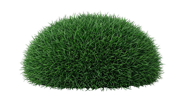 Lush green grass mound isolated on white, vibrant round turf patch for landscape design, organic garden grass tuft 3D render