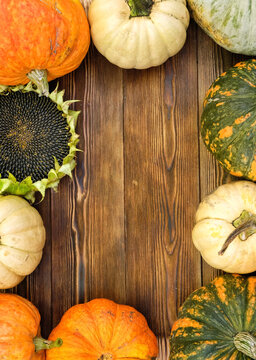 Autumn harvest. frame made of pumpkins, and ripe sunflower on rustic wooden background. fall season. Thanksgiving day, Mabon. template for design. copy space. top view