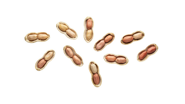 View of multiple roasted peanuts in shells arranged randomly on a white surface for food isolated on a transparent background