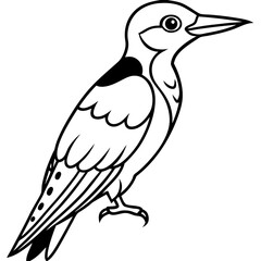 Obraz premium Woodpecker line art vector