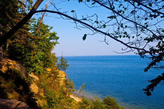 Klif, Gdynia, Cliff in Gdynia	