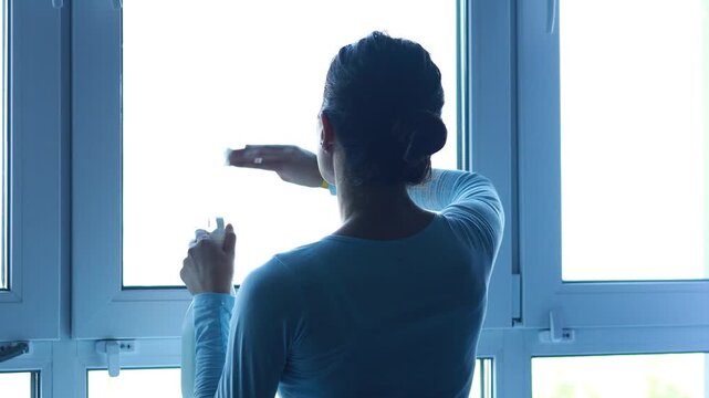A woman stands by the window, holding a cleaning spray. Sunlight fills the room as she wipes the glass. The scene shows a focus on cleanliness and home care.