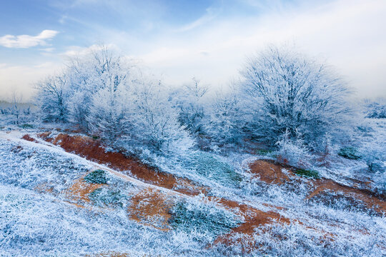 Frost covered trees on a hillside under a pale blue sky