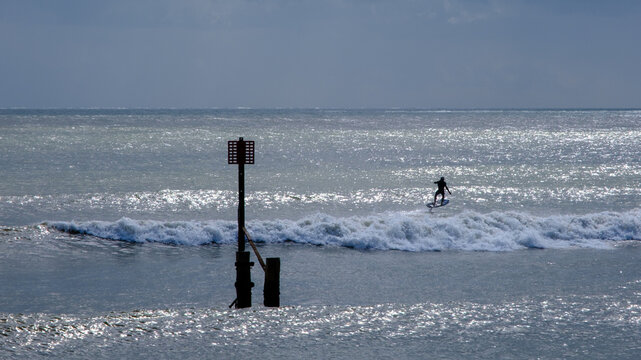You Be You: Persistence and Purpose on a Sparkling Blue Sea