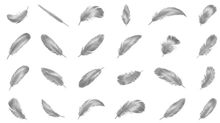 Fototapeta premium Silver Bird Feathers Collection Isolated on Transparent Background PNG
