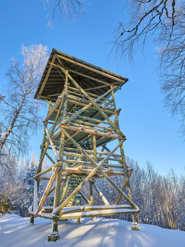 Wooden watch tower in Paukj&auml;rve hiking nature trail during snowy winter day with clear blue sky and bare trees in Estonia