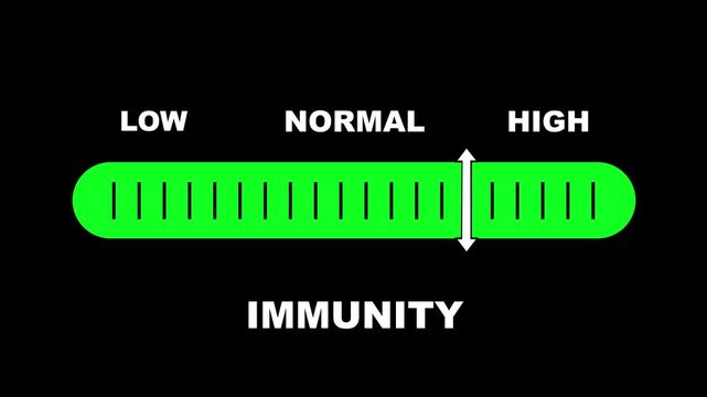 Immunity level indicator scale. Low Normal High meter infographic animation on black background. Showing high immunity level color gauge indicator for health monitoring and wellness.