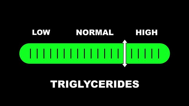 Triglycerides level indicator scale. Low normal & high meter infographic animation on black background. Showing high triglycerides level color gauge indicator for blood health and cardiovascular.