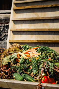Organic garden waste with fresh vegetables in a wooden compost box on a sunny summer day