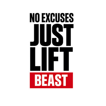 NO EXCUSES Premium Fitness Typography Graphic for Apparel