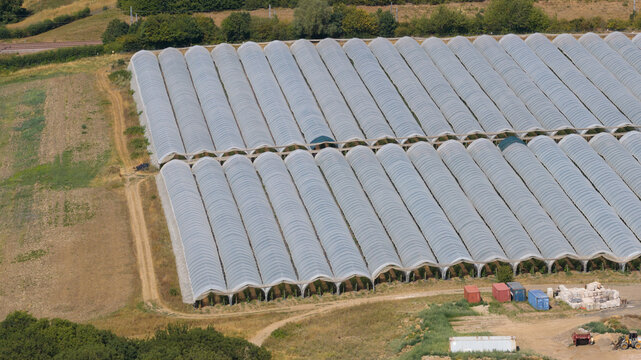 Aerial view of long rows of arched polytunnels for agricultural crop production in a rural field with shipping containers and equipment in Dartford, England, United Kingdom.