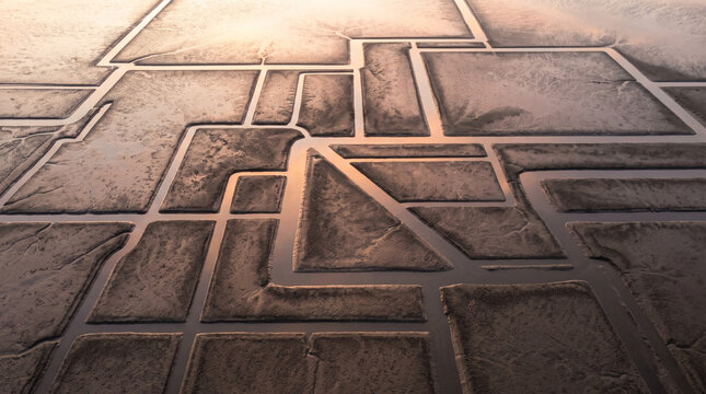 Aerial view of tidal channels forming geometric patterns in wet sand at low tide with golden sunlight