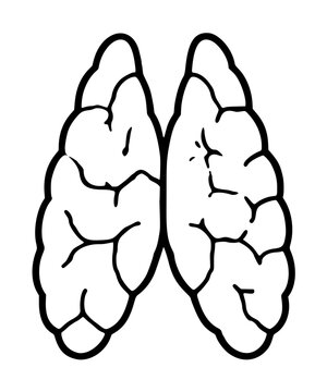 Minimalist thymus gland vector icon illustration, featuring a clean black outline of the human anatomical organ, perfect for medical education, healthcare diagrams, and biology study materials.